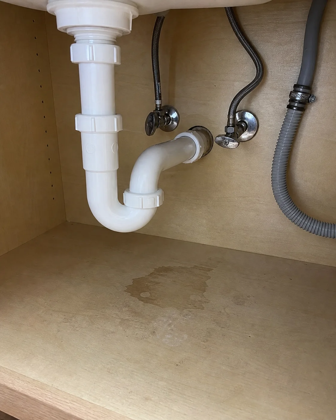 Representative under-sink moisture condition for plumbing leak investigation.